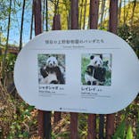 恩賜上野動物園に投稿された画像（2026/1/24）