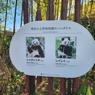 恩賜上野動物園に投稿された画像（2026/1/24）