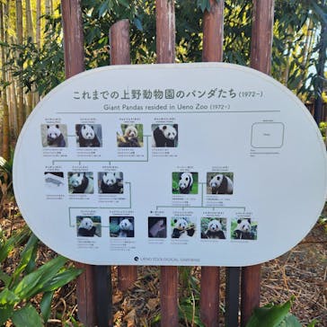 恩賜上野動物園に投稿された画像（2026/1/24）