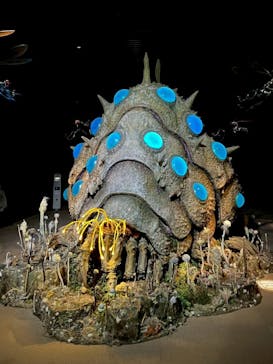 金曜ロードショーとジブリ展（静岡展）に投稿された画像（2026/1/24）