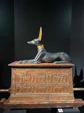 MYSTERY OF TUTANKHAMEN 体感型古代エジプト展に投稿された画像（2026/1/24）