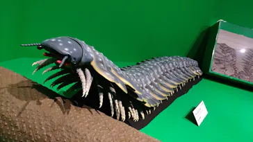 特別展「大絶滅展―生命史のビッグファイブ」に投稿された画像（2026/1/24）