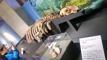特別展「大絶滅展―生命史のビッグファイブ」に投稿された画像（2026/1/24）