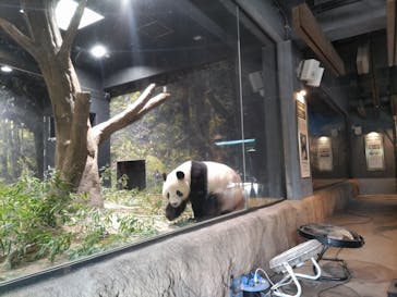 恩賜上野動物園に投稿された画像（2026/1/24）