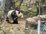 恩賜上野動物園に投稿された画像（2026/1/25）