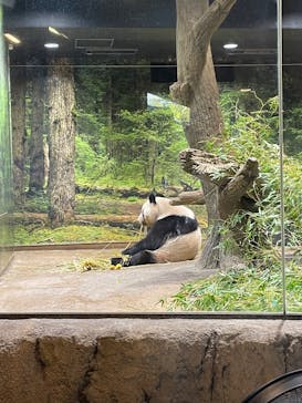 恩賜上野動物園に投稿された画像（2026/1/24）