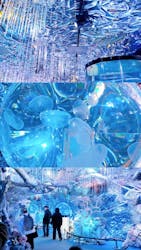 ひらかたパークに投稿された画像（2026/1/24）