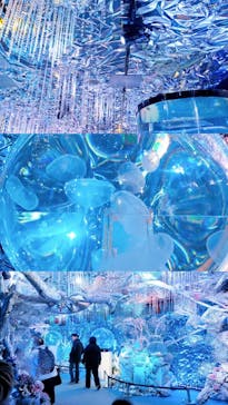 ひらかたパークに投稿された画像（2026/1/24）