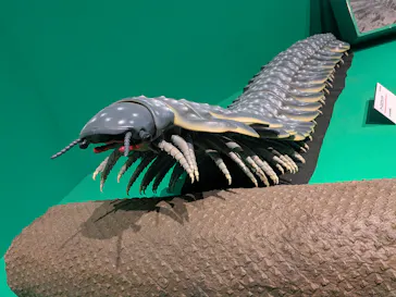 特別展「大絶滅展―生命史のビッグファイブ」に投稿された画像（2026/1/24）