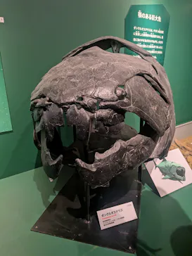 特別展「大絶滅展―生命史のビッグファイブ」に投稿された画像（2026/1/24）