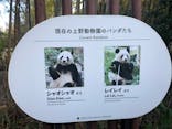 恩賜上野動物園に投稿された画像（2026/1/25）
