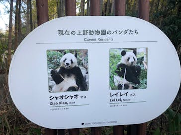 恩賜上野動物園に投稿された画像（2026/1/24）