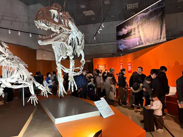 特別展「大絶滅展―生命史のビッグファイブ」に投稿された画像（2026/1/24）