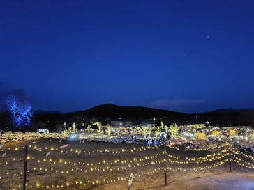 いばらきフラワーパークに投稿された画像（2026/1/24）