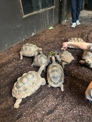 体感型動物園iZooに投稿された画像（2026/1/24）