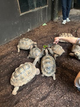 体感型動物園iZooに投稿された画像（2026/1/24）