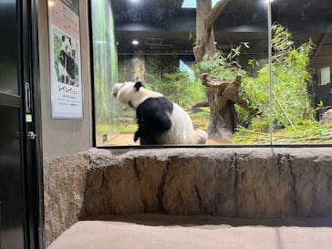 恩賜上野動物園に投稿された画像（2026/1/24）