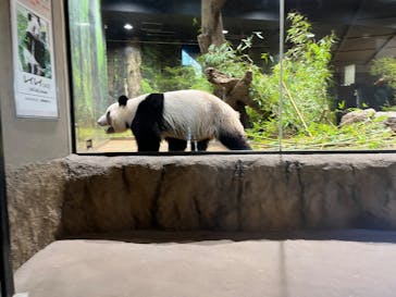 恩賜上野動物園に投稿された画像（2026/1/24）