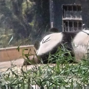 恩賜上野動物園に投稿された画像（2026/1/25）