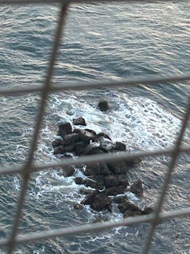 徳島県立 渦の道に投稿された画像（2026/1/25）