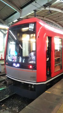 彫刻の森美術館に投稿された画像（2026/1/25）