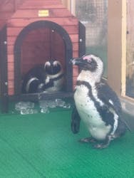 名古屋港水族館に投稿された画像（2026/1/25）