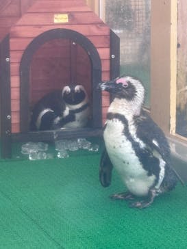 名古屋港水族館に投稿された画像（2026/1/25）