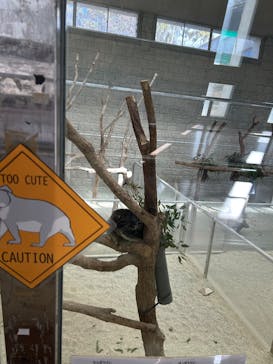 淡路ファームパーク イングランドの丘に投稿された画像（2026/1/25）