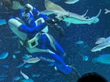 サンシャイン水族館に投稿された画像（2026/1/25）
