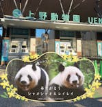 恩賜上野動物園に投稿された画像（2026/1/25）