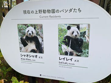 恩賜上野動物園に投稿された画像（2026/1/25）
