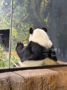 恩賜上野動物園に投稿された画像（2026/1/25）