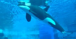名古屋港水族館に投稿された画像（2026/1/25）