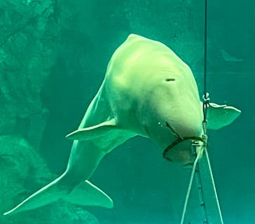 名古屋港水族館に投稿された画像（2026/1/25）