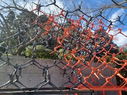 彫刻の森美術館に投稿された画像（2026/1/25）