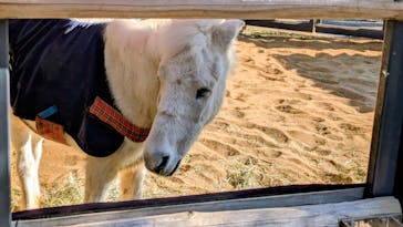 恩賜上野動物園に投稿された画像（2026/1/25）