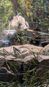 恩賜上野動物園に投稿された画像（2026/1/25）