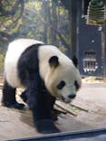 恩賜上野動物園に投稿された画像（2026/1/25）