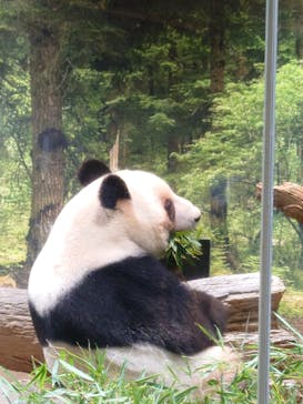 恩賜上野動物園に投稿された画像（2026/1/25）