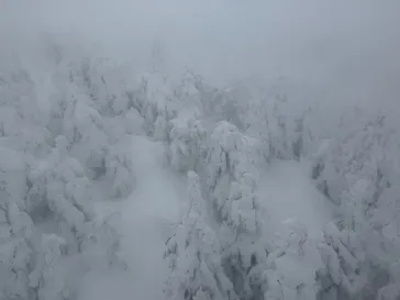 蔵王ロープウェイに投稿された画像（2026/1/25）