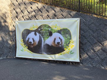 恩賜上野動物園に投稿された画像（2026/1/25）