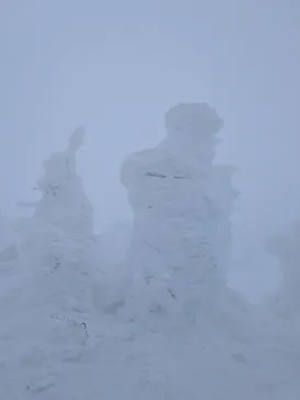 蔵王ロープウェイに投稿された画像（2026/1/25）