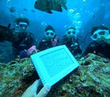 青の洞窟専門店　沖縄ダイビングショップ和に投稿された画像（2026/1/25）