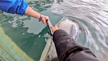 城崎マリンワールドに投稿された画像（2026/1/25）