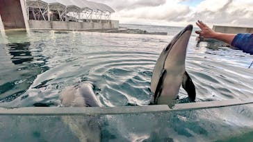 城崎マリンワールドに投稿された画像（2026/1/25）