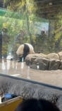 恩賜上野動物園に投稿された画像（2026/1/25）