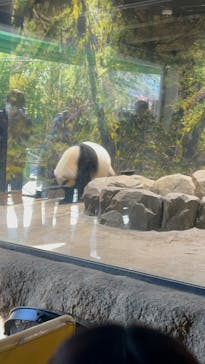 恩賜上野動物園に投稿された画像（2026/1/25）