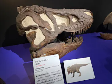 特別展「大絶滅展―生命史のビッグファイブ」に投稿された画像（2026/1/25）