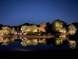 六義園に投稿された画像（2026/1/25）