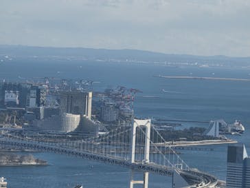 東京タワーに投稿された画像（2026/1/25）